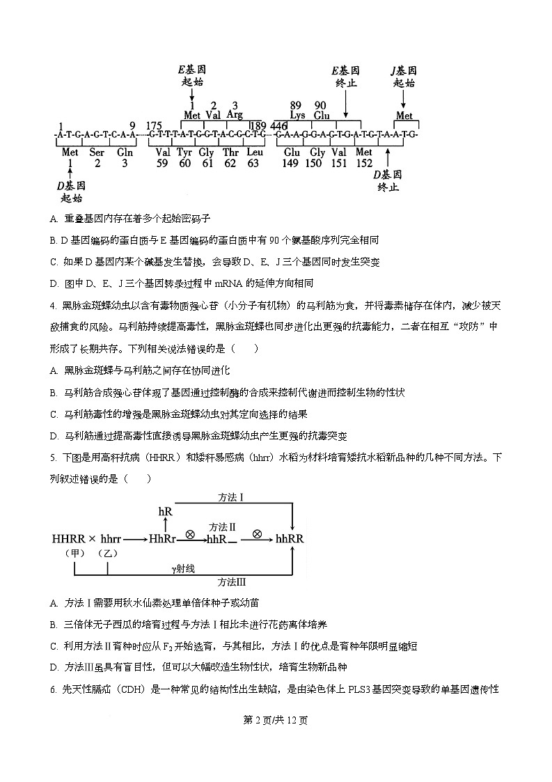 重庆市南开中学2025-2026学年高二上学期11月期中生物试题（原卷版）第2页