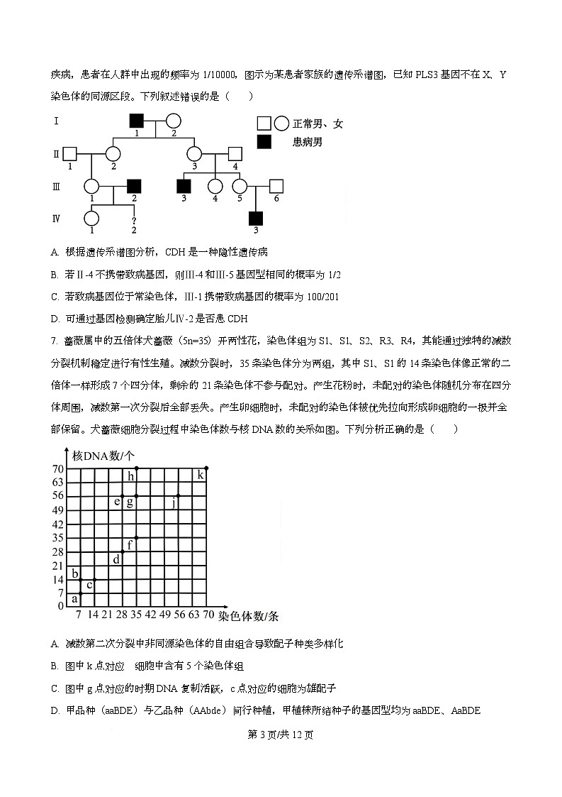 重庆市南开中学2025-2026学年高二上学期11月期中生物试题（原卷版）第3页