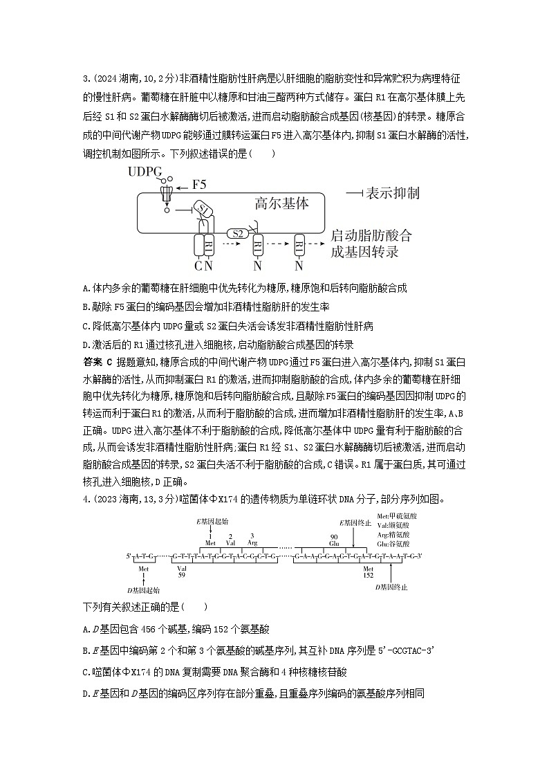 广东高考生物真题2_真题分类  第10章 基因的表达高考二轮专题第2页