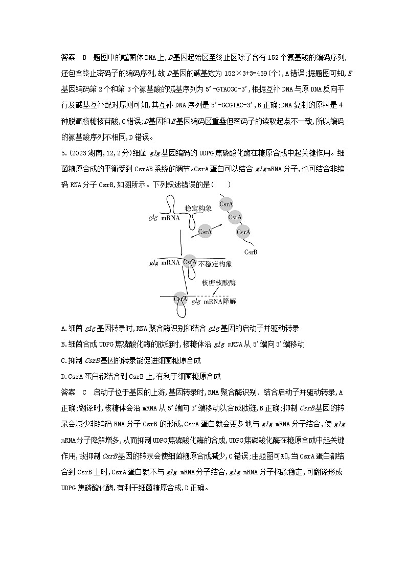 广东高考生物真题2_真题分类  第10章 基因的表达高考二轮专题第3页