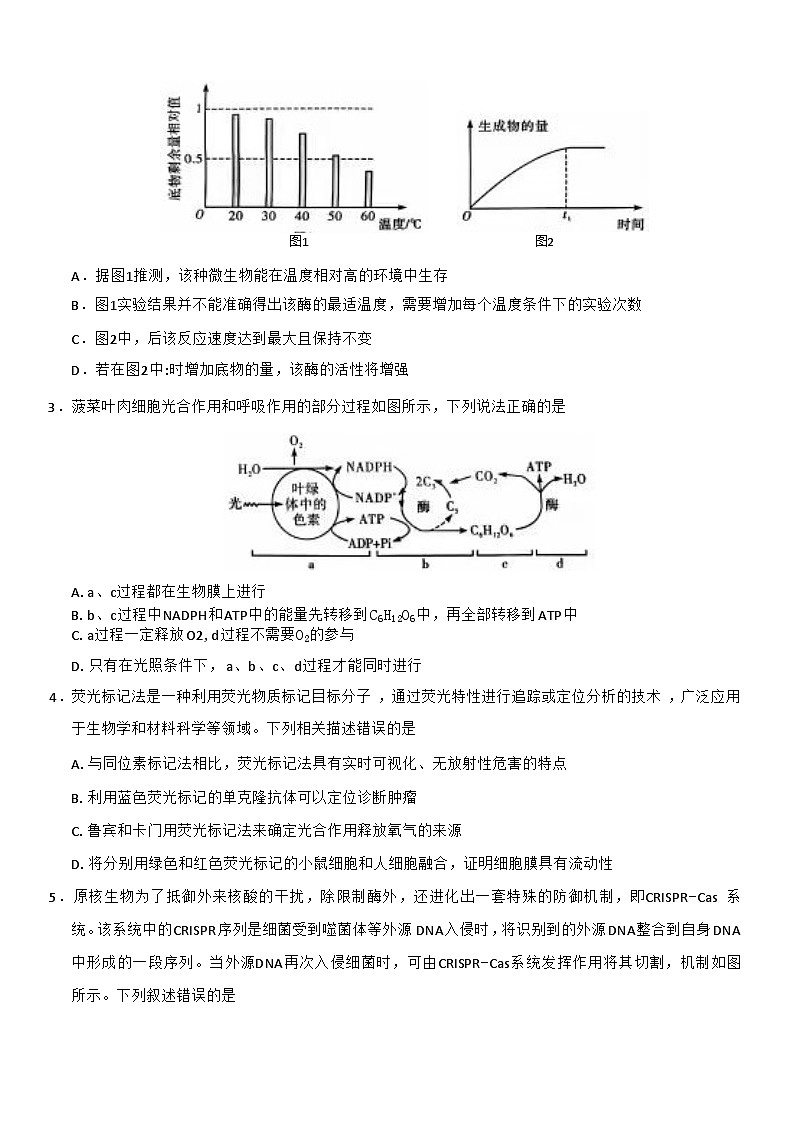 云南省昆明市第一中学2026届高三上学期第四次联考生物试卷第2页