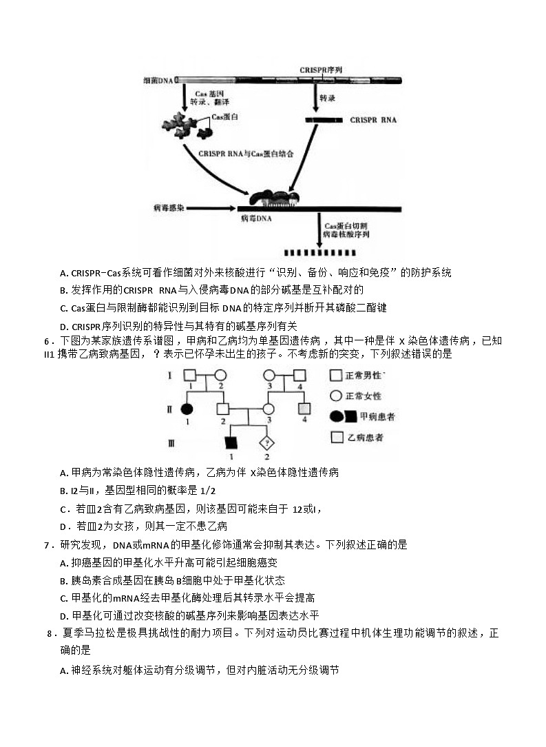 云南省昆明市第一中学2026届高三上学期第四次联考生物试卷第3页
