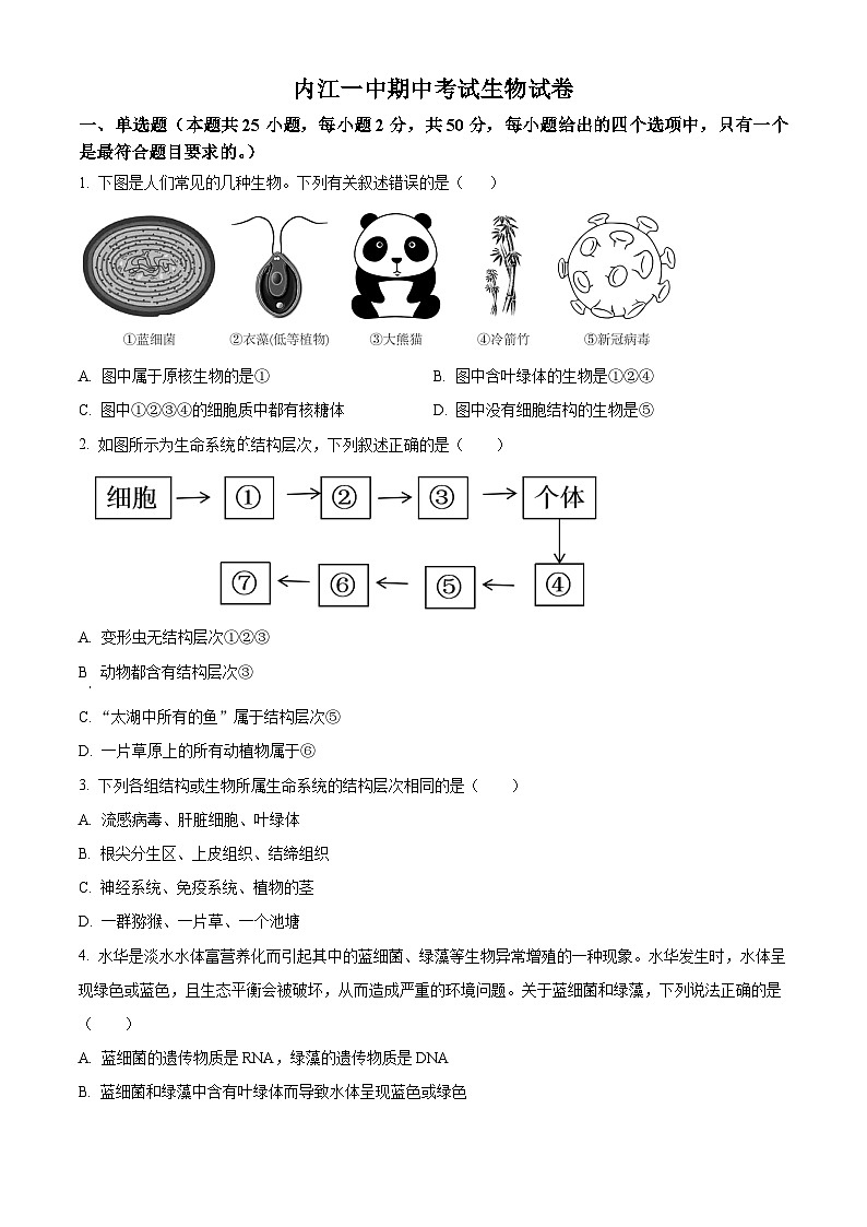 精品解析：四川省内江市第一中学2025-2026学年高一上学期期中考试生物试题（原卷版）第1页