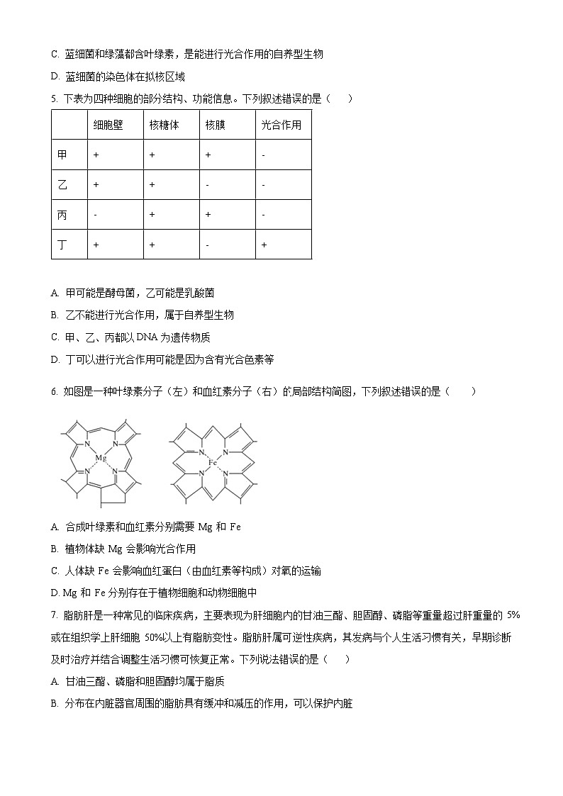 精品解析：四川省内江市第一中学2025-2026学年高一上学期期中考试生物试题（原卷版）第2页