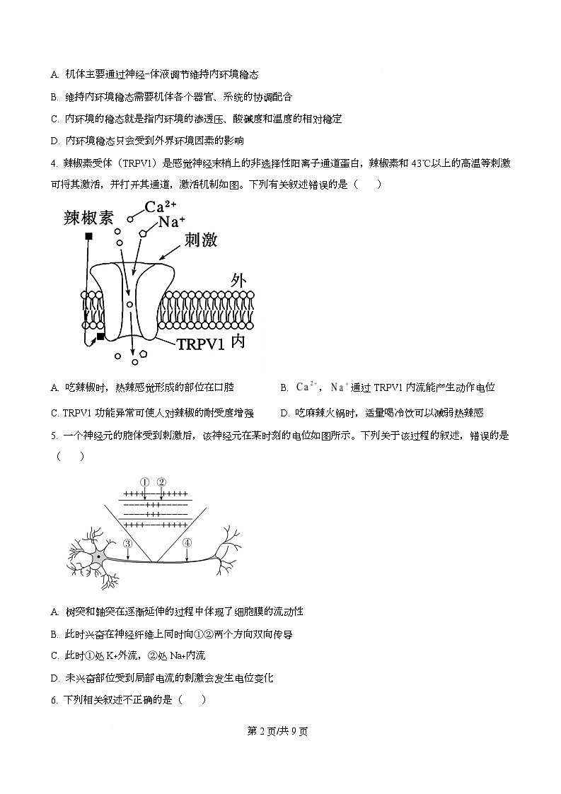 黑龙江省牡丹江市第二高级中学2025-2026学年高二上学期期中考试生物试题（原卷版）第2页