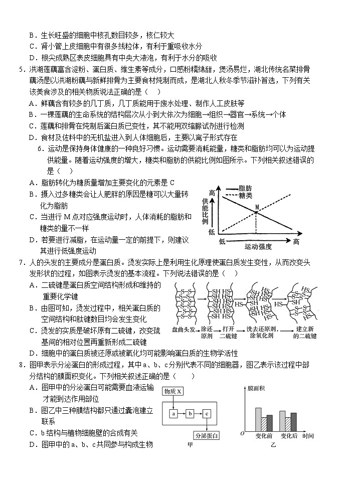 湖北省荆州市沙市中学2025-2026学年高一上学期11月期中生物试题第2页