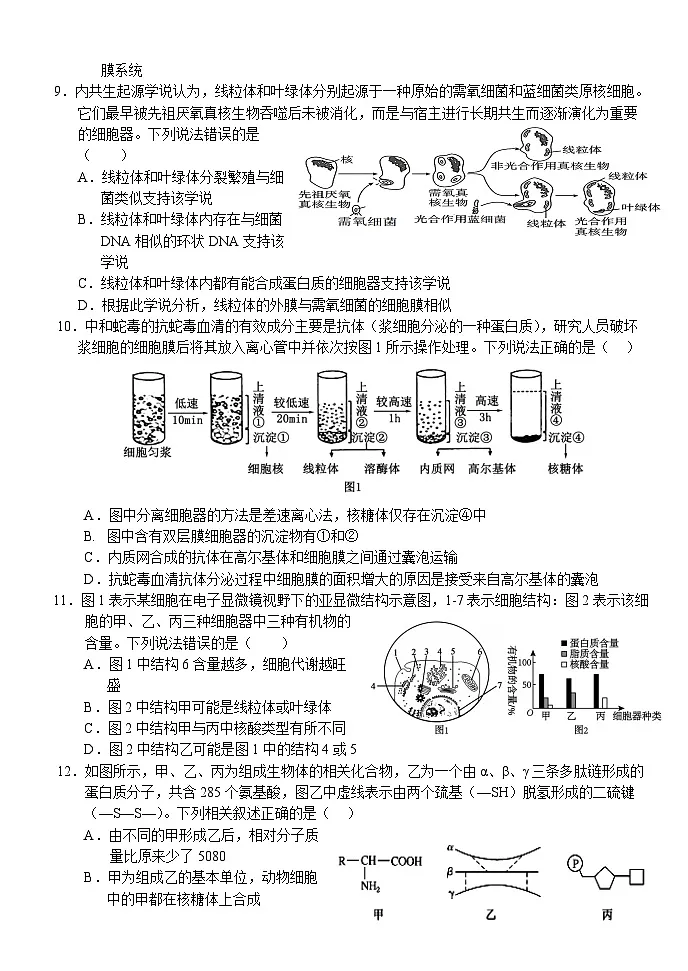 湖北省荆州市沙市中学2025-2026学年高一上学期11月期中生物试题第3页