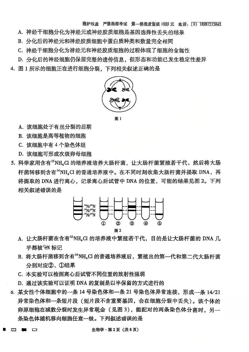 云南省昆明市云南师范大学附属中学2025-2026年高三上学期适应性月考卷（五）生物试卷（含答案）第2页