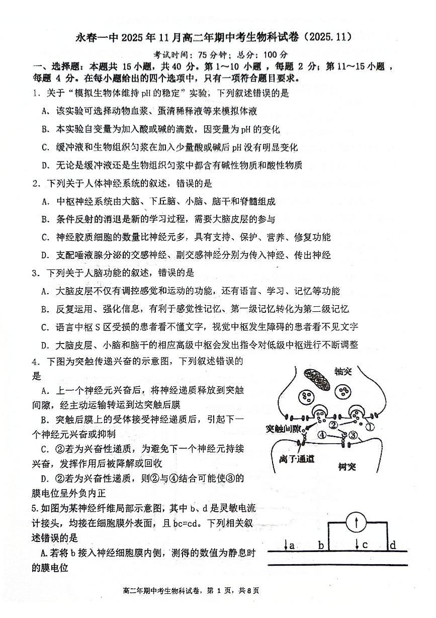 福建省泉州市永春第一中学2025-2026学年高二上学期11月期中生物试题第1页