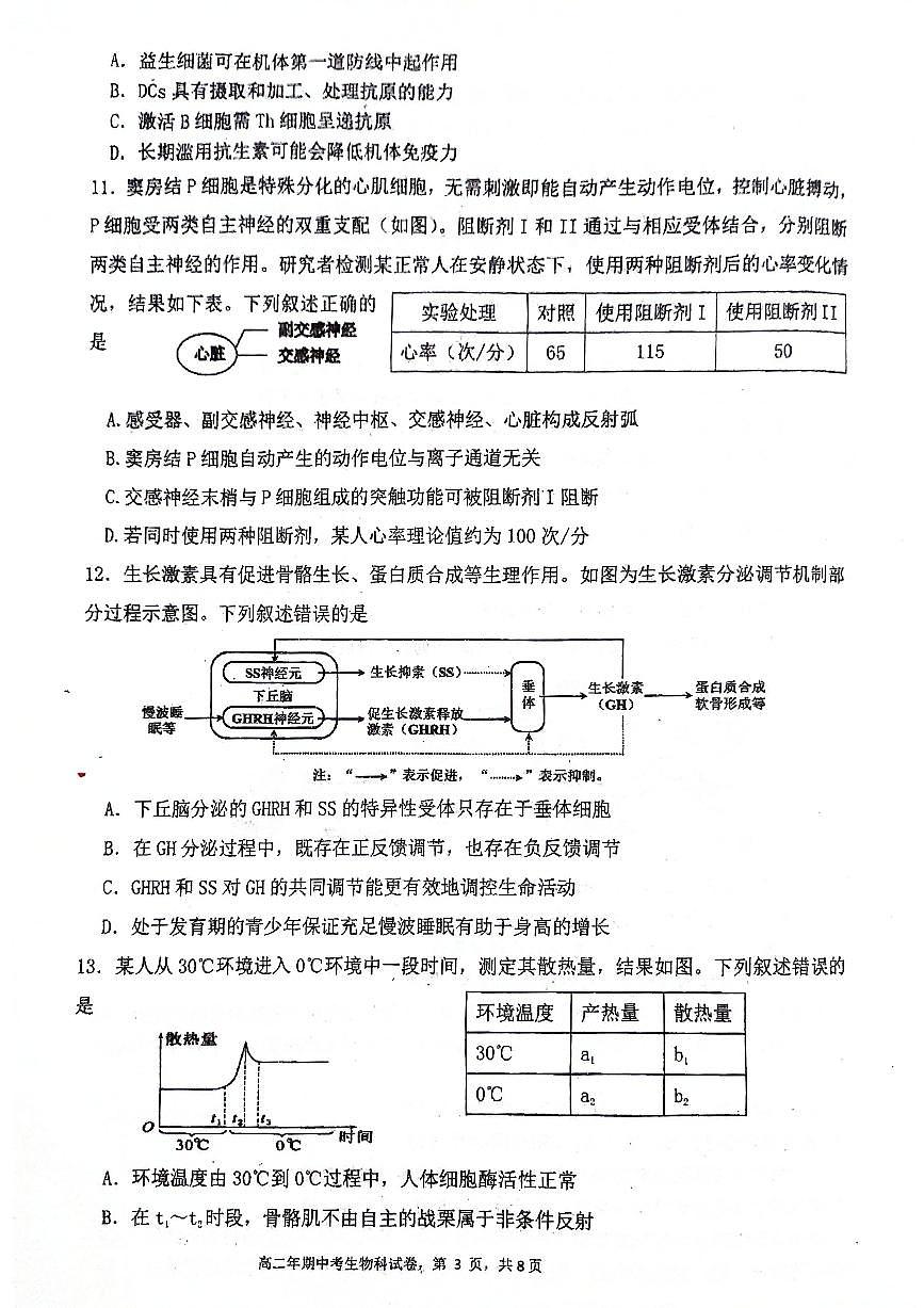 福建省泉州市永春第一中学2025-2026学年高二上学期11月期中生物试题第3页