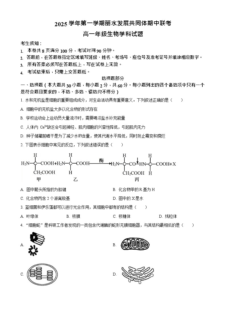 浙江省丽水发展共同体2025-2026学年高一上学期11月期中考试生物试卷第1页