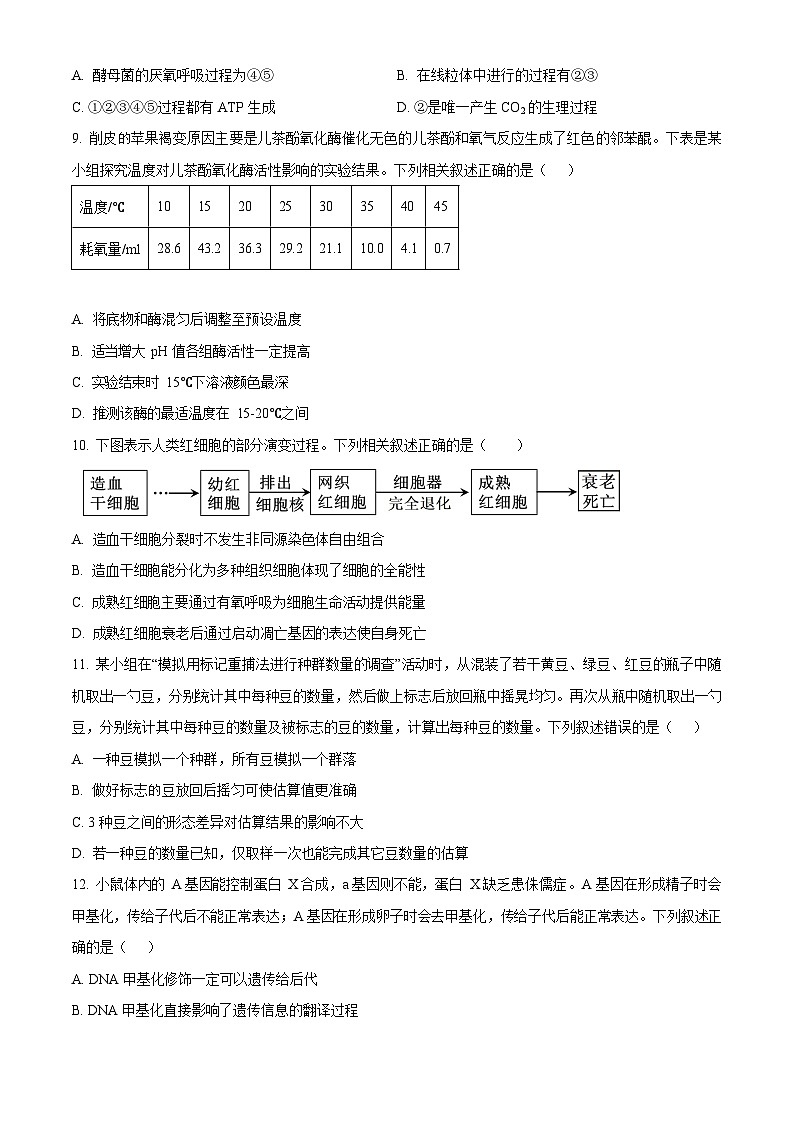 浙江省丽水发展共同体2025-2026学年高二上学期11月期中考试生物试卷第3页