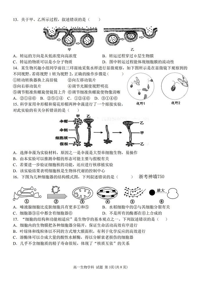 浙江省温州环大罗山联盟2025-2026学年高一上学期11月期中考试生物试卷第3页
