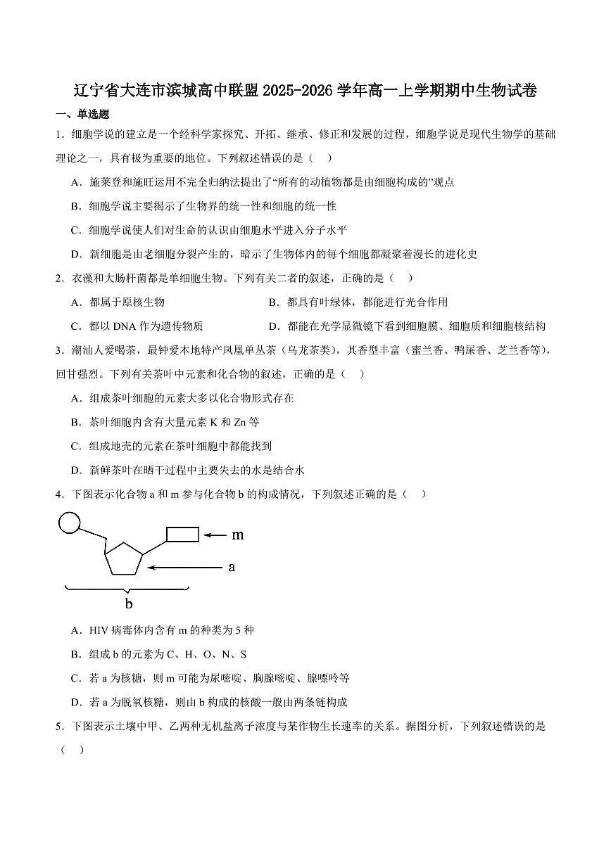 辽宁省大连市滨城高中联盟2025-2026学年高一上学期期中考试生物试卷（含答案）第1页