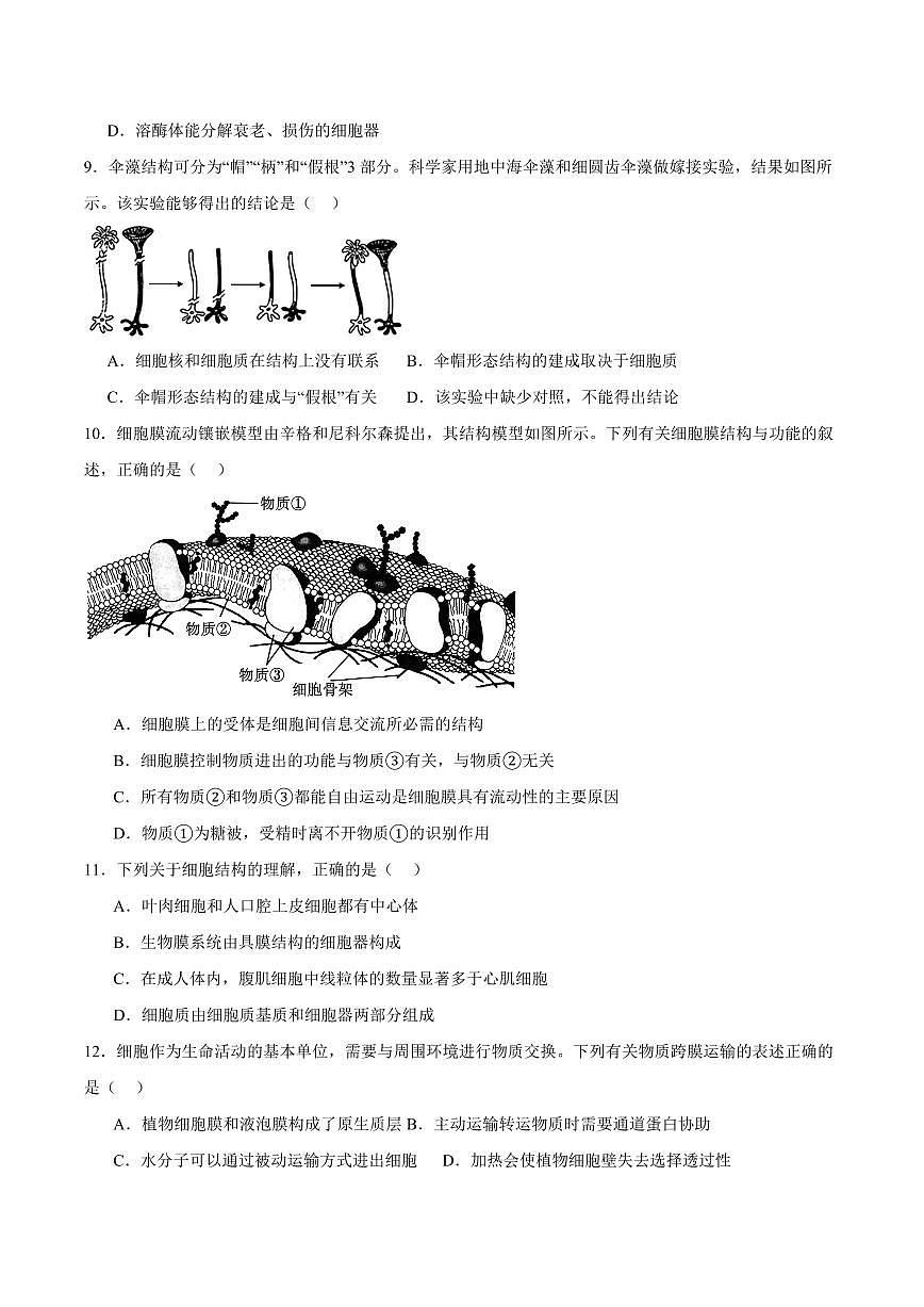 辽宁省大连市滨城高中联盟2025-2026学年高一上学期期中考试生物试卷（含答案）第3页