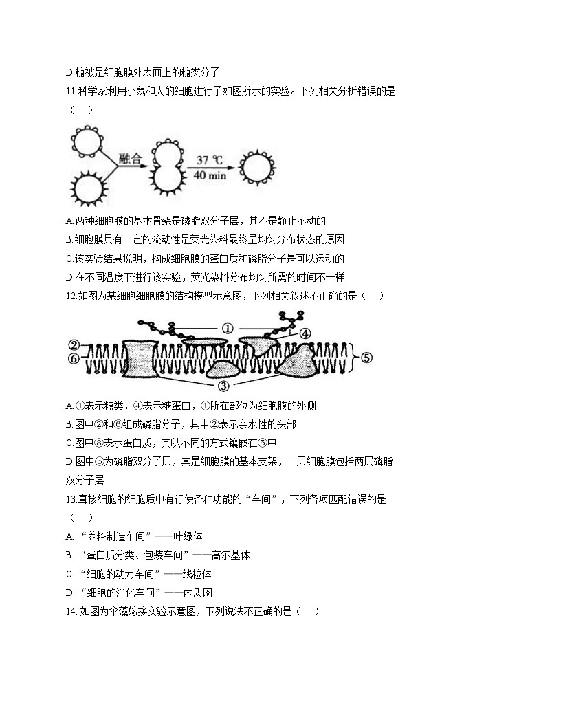 陕西省渭南市三贤中学2025_2026学年高一上学期第二次教学质量检测（期中）生物试卷（文字版，含答案）第3页