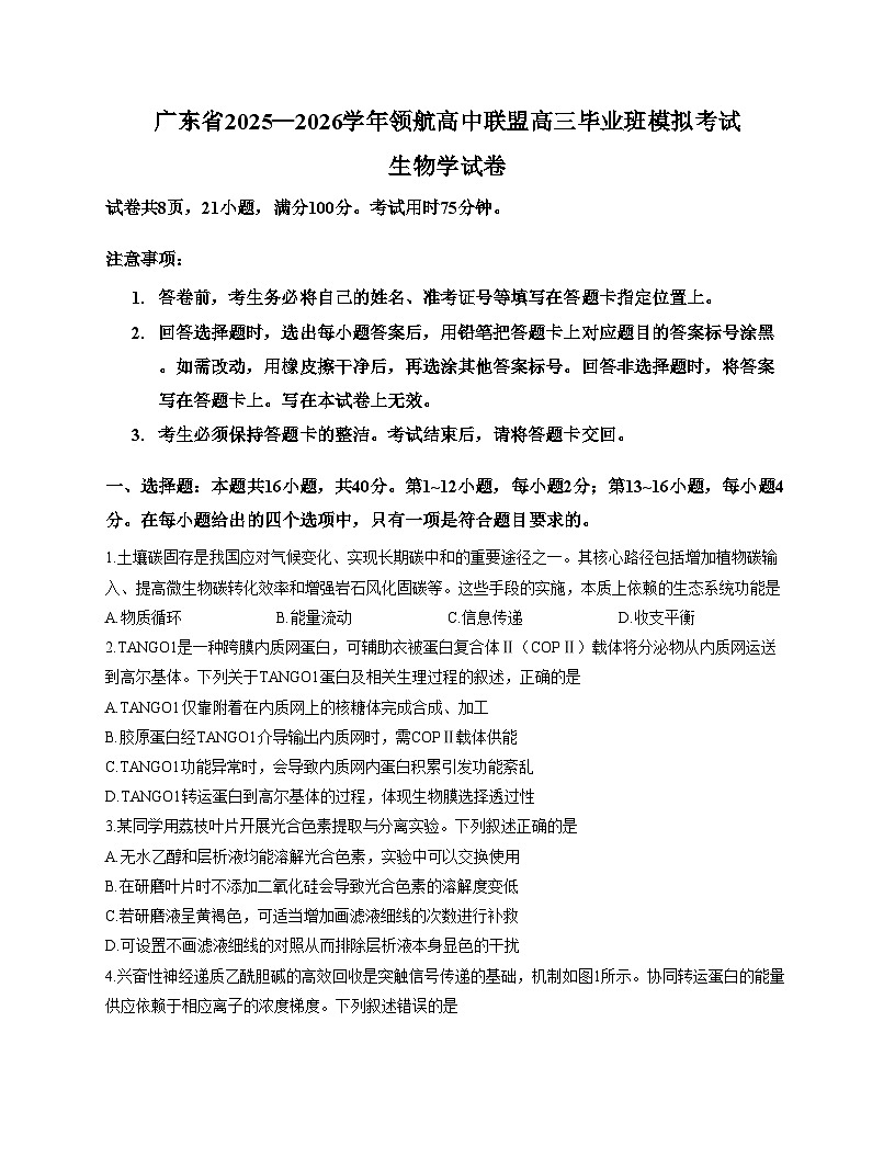 广东省领航高中联盟2026届高三上学期12月生物月考试卷（文字版，含答案）第1页