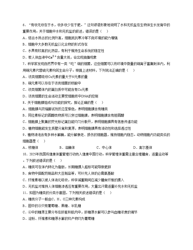 天津市第一中学滨海学校2025_2026学年高一上学期11月期中生物试题（文字版，含答案）第2页