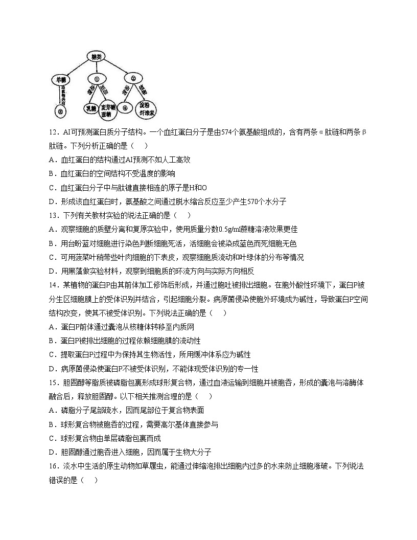 天津市第一中学滨海学校2025_2026学年高一上学期11月期中生物试题（文字版，含答案）第3页