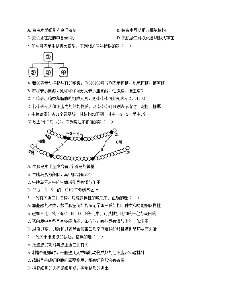 天津市五校联考2025—2026学年高二上学期期中考试生物试题（文字版，含答案）第2页