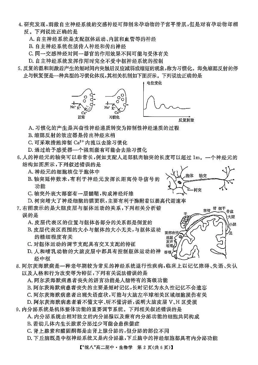 安徽省皖南八校2025-2026学年高二上学期11月期中考试 生物（含答案）第2页
