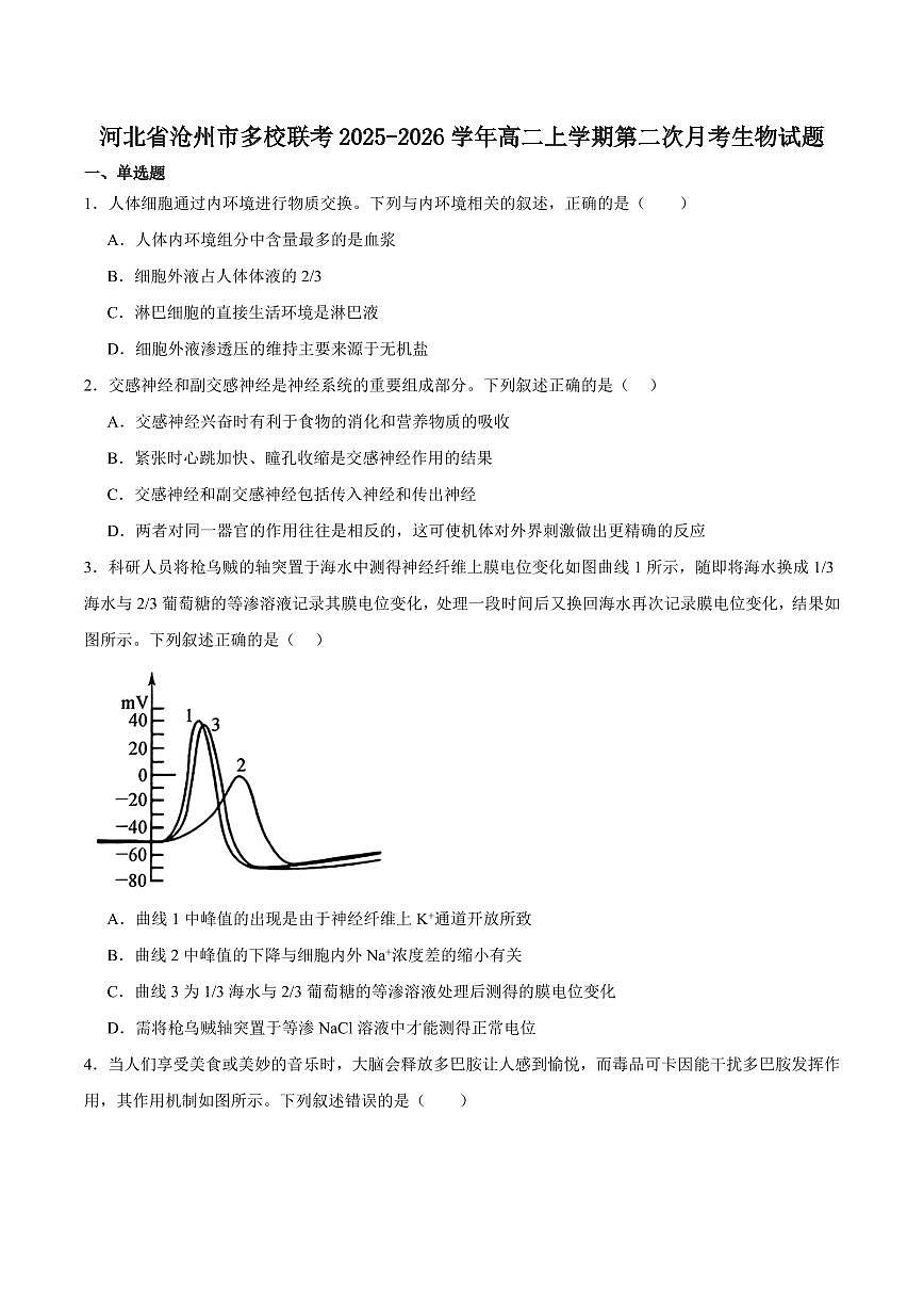 河北省沧州市多校联考2025-2026学年高二上学期第二次月考试题 生物 Word版含答案第1页