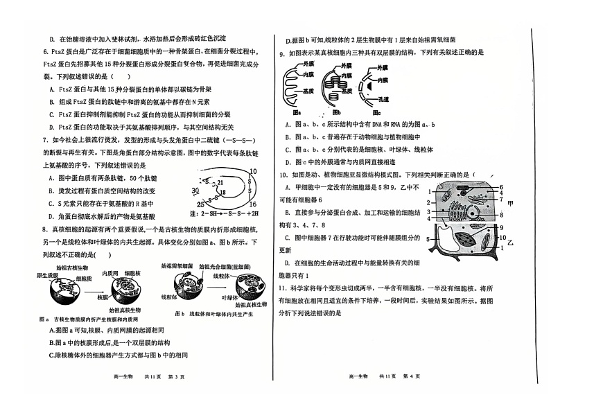 辽宁省七校协作体2025-2026学年高一上学期11月期中生物试题第2页