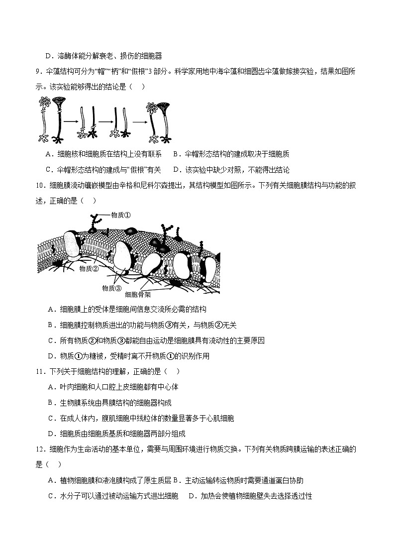 辽宁省大连市滨城高中联盟2025-2026学年高一上学期期中考试生物试卷（含答案）第3页