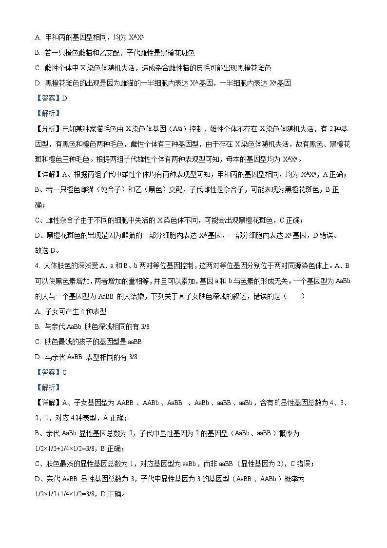 湖北省部分高中联考2025-2026学年高二上学期11月期中生物试卷（含答案）第3页