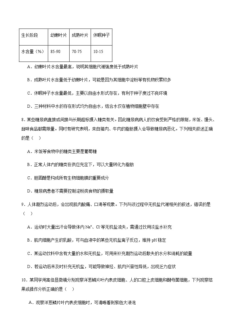 浙江省宁波三锋联盟2025-2026学年高一上学期11月期中联考生物试卷（含答案）第3页