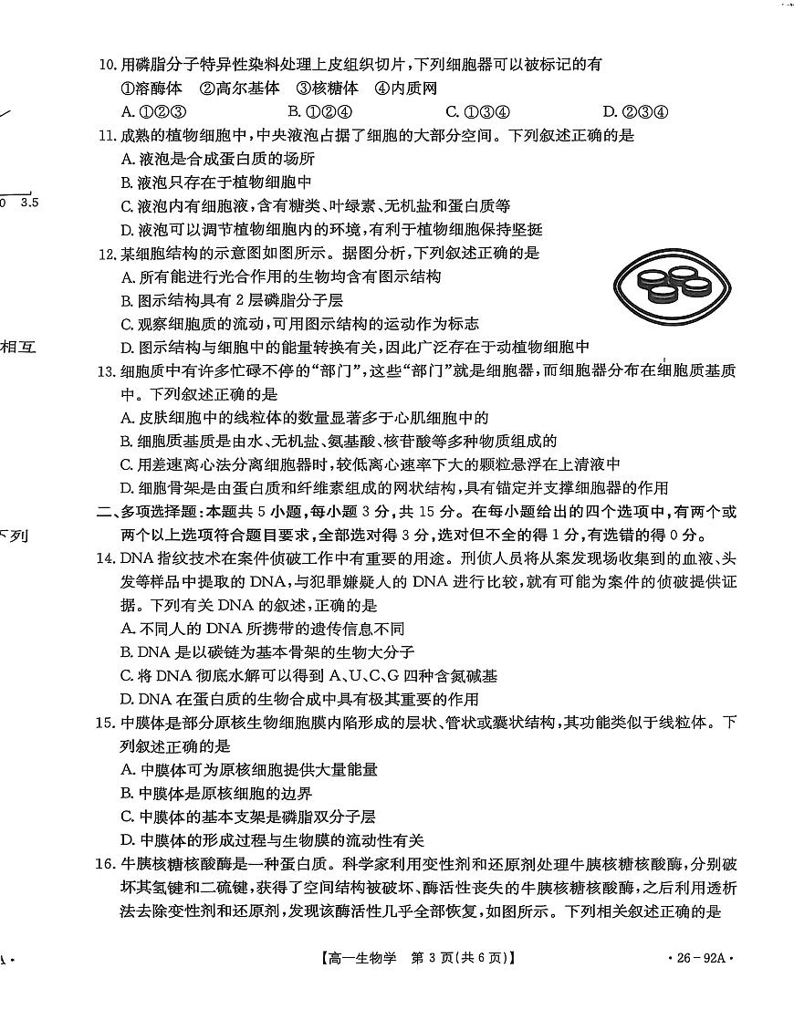河北省邢台市质检联盟2025-2026学年高一上学期11月期中生物试卷（含答案）第3页