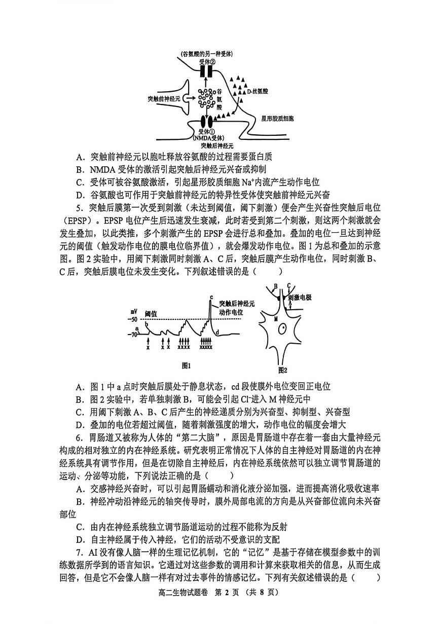 河南省郑州市十校2025-2026学年高二上学期11月期中联考生物试题（含答案）第2页
