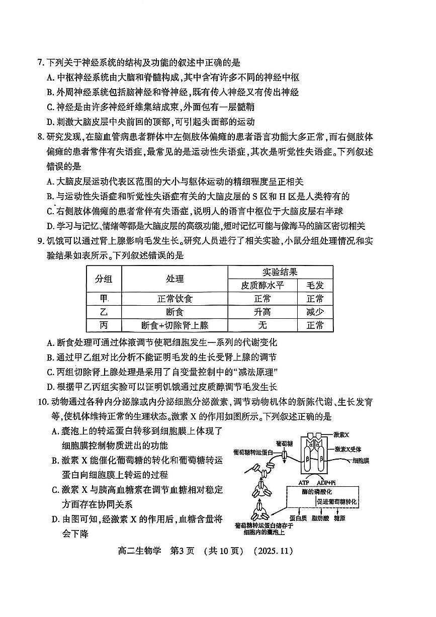河南省洛阳市2025-2026学年高二上学期11月期中生物试题含答案第3页