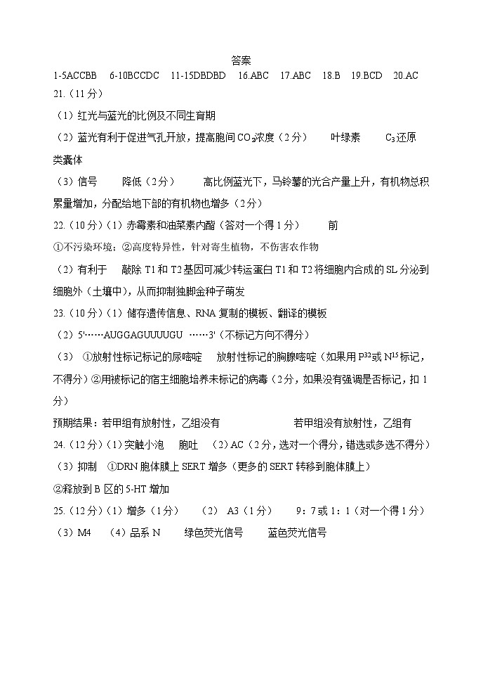 三模 答案第1页