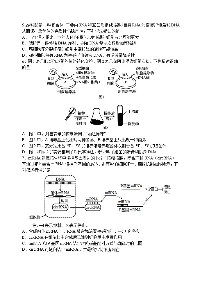三模 试卷第2页