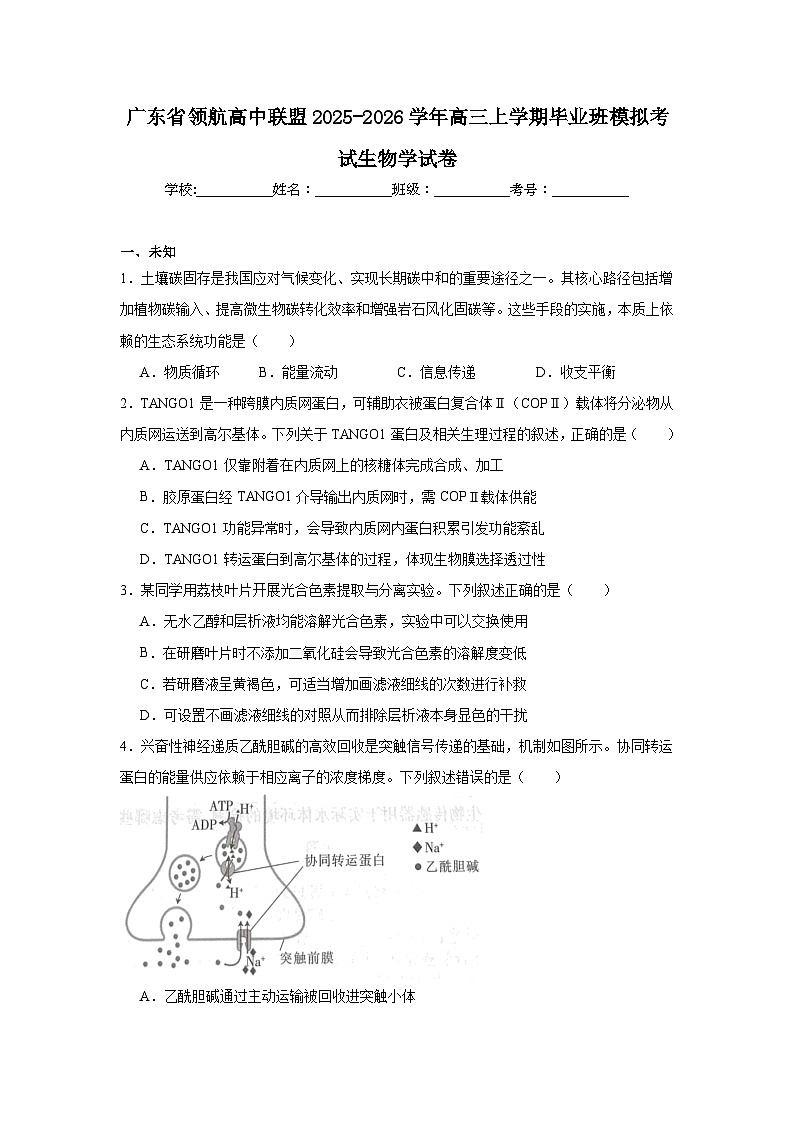 2025-2026学年广东省领航高中联盟高三上学期毕业班模拟考试生物学试卷（无答案）第1页