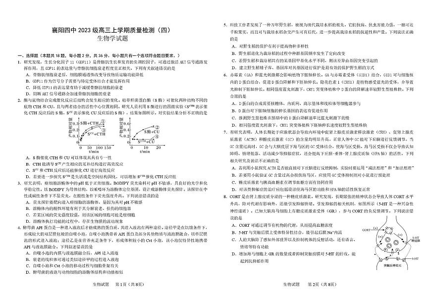 湖北省襄阳市第四中学2025-2026学年高三上学期12月月考生物试题（月考）第1页