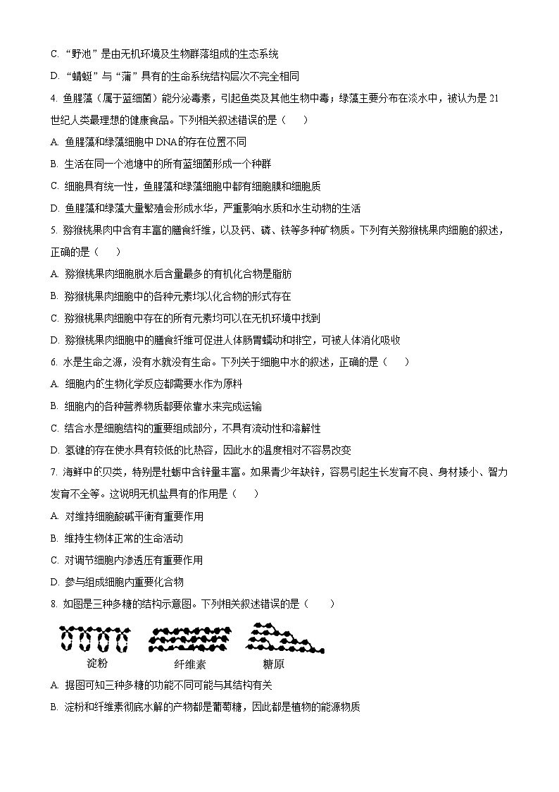 安徽省县域联盟2025-2026学年高一上学期11月质量检测生物学试题（原卷版）第2页
