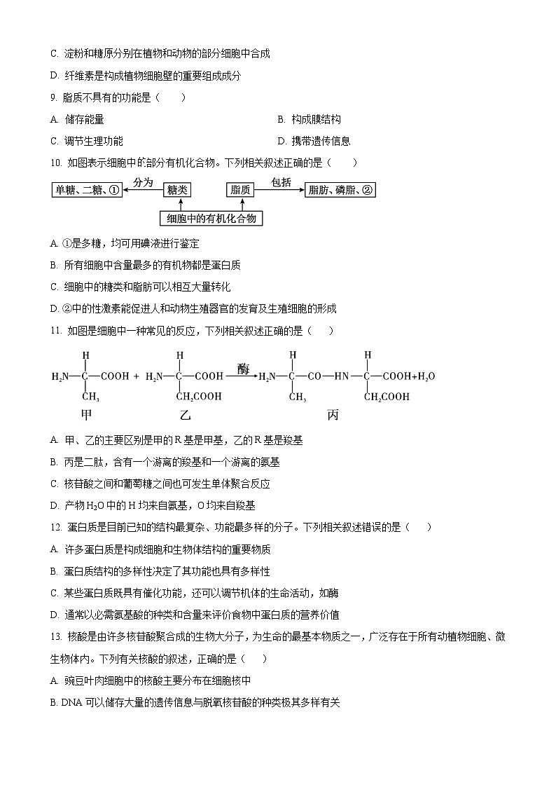 安徽省县域联盟2025-2026学年高一上学期11月质量检测生物学试题（原卷版）第3页