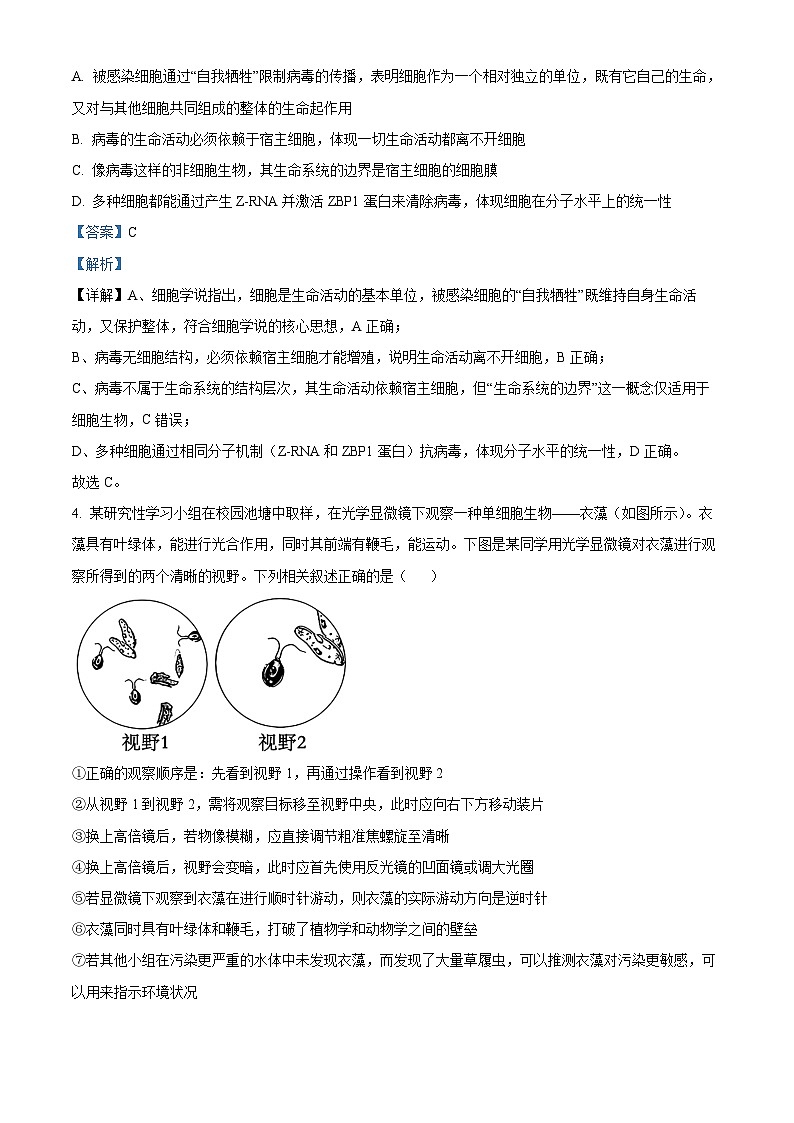 安徽师范大学附属中学2025-2026学年高一上学期11月期中生物试题 Word版含解析第3页