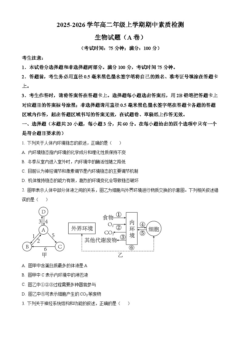 安徽省芜湖市镜湖区安徽师范大学附属中学2025-2026学年高二上学期11月期中生物试题（原卷版）第1页