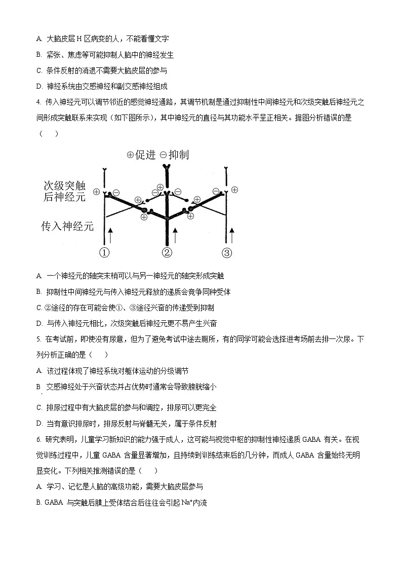 安徽省芜湖市镜湖区安徽师范大学附属中学2025-2026学年高二上学期11月期中生物试题（原卷版）第2页