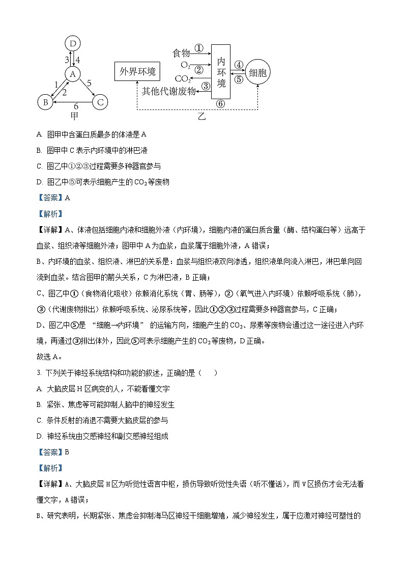 安徽省芜湖市镜湖区安徽师范大学附属中学2025-2026学年高二上学期11月期中生物试题 Word版含解析第2页