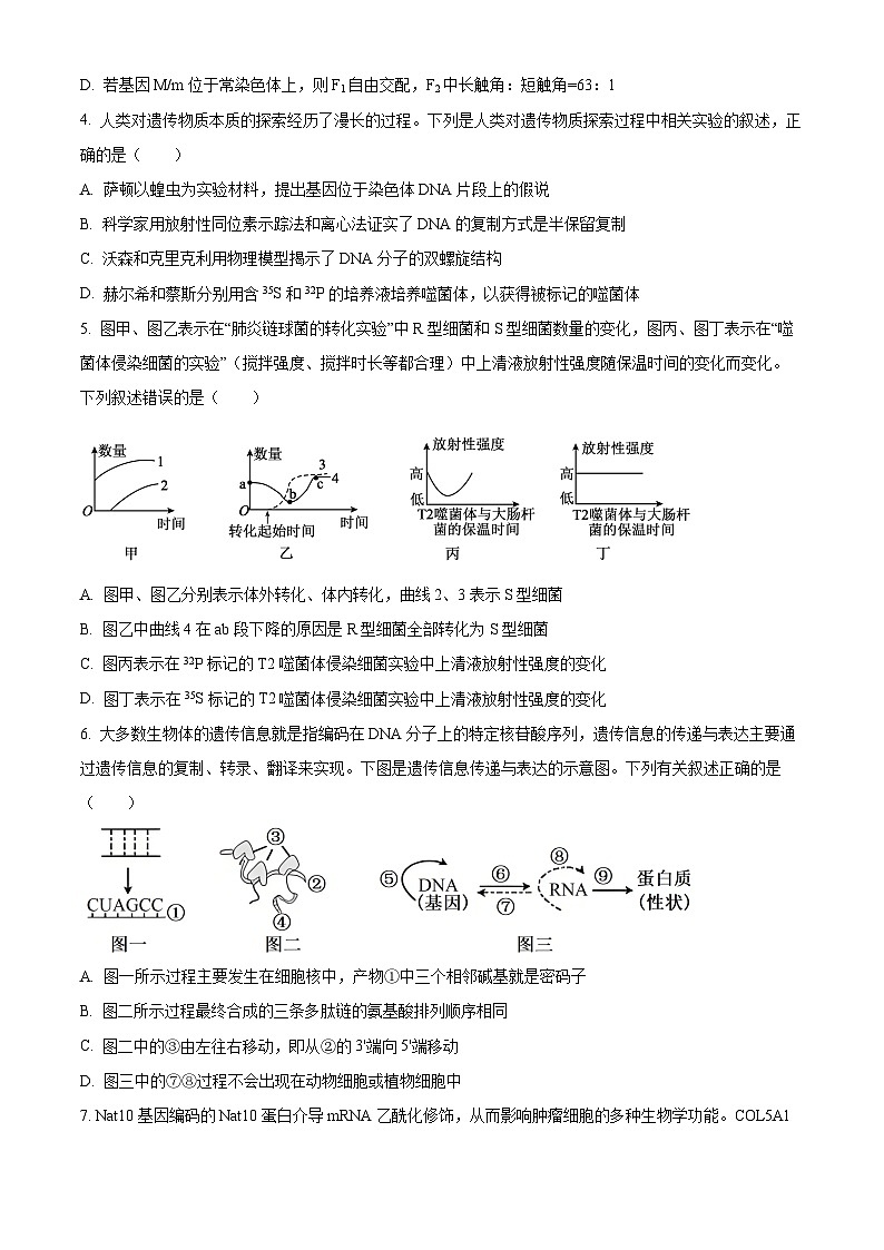 安徽省皖豫联考2026届高三上学期11月期中生物试题（原卷版）第2页