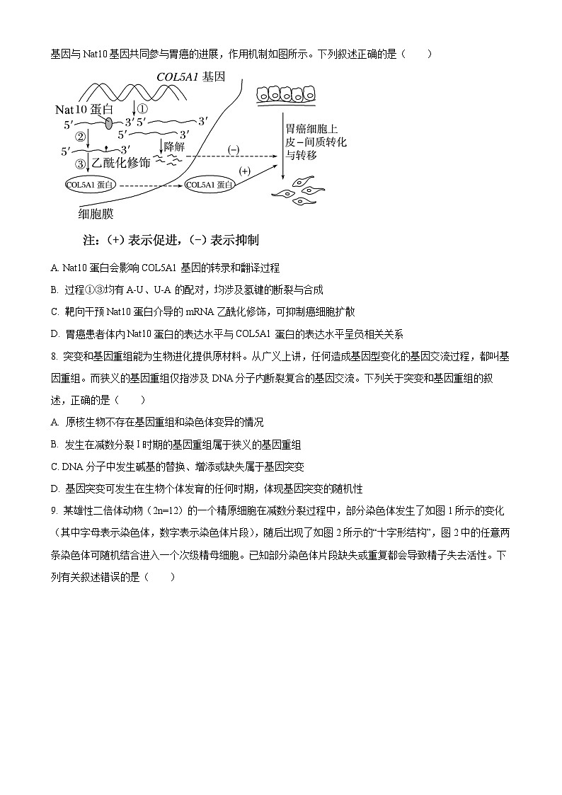 安徽省皖豫联考2026届高三上学期11月期中生物试题（原卷版）第3页