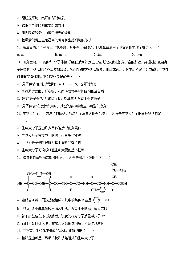安徽省皖江名校联盟2025-2026学年高一上学期11月期中联考生物B试卷（原卷版）第3页