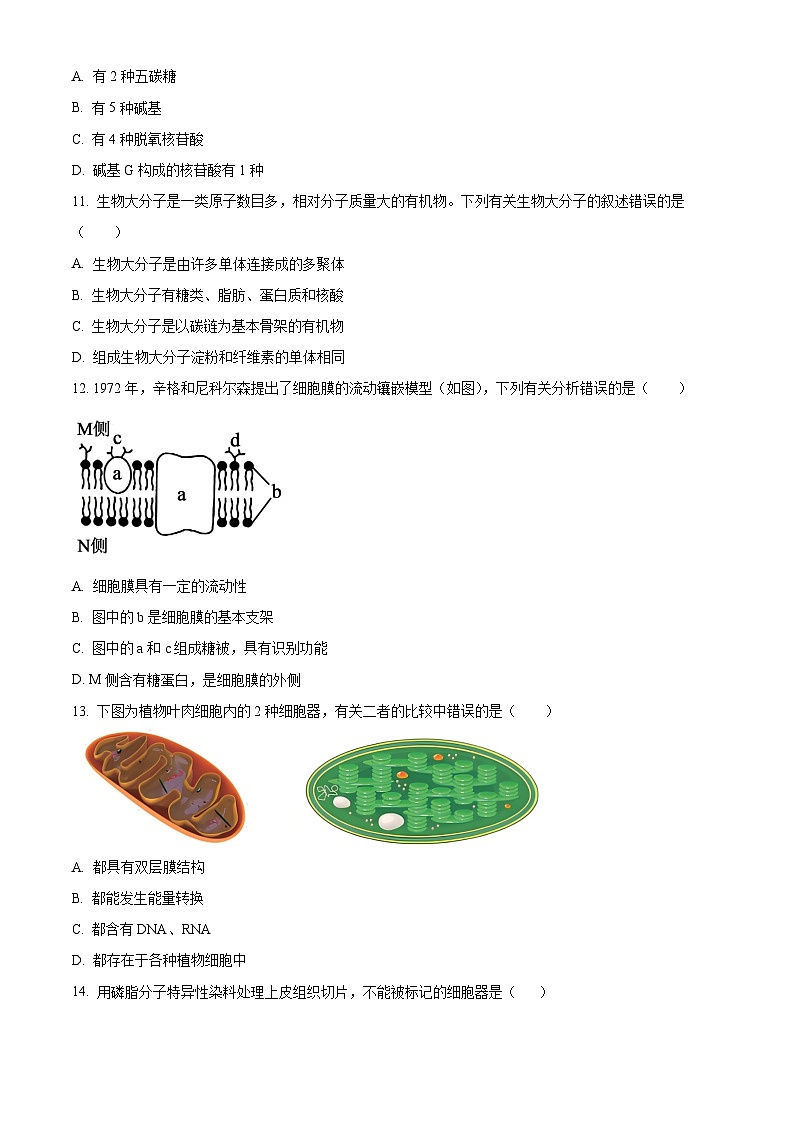 安徽省皖江名校联盟2025-2026学年高一上学期11月期中联考生物A试卷（原卷版）第3页
