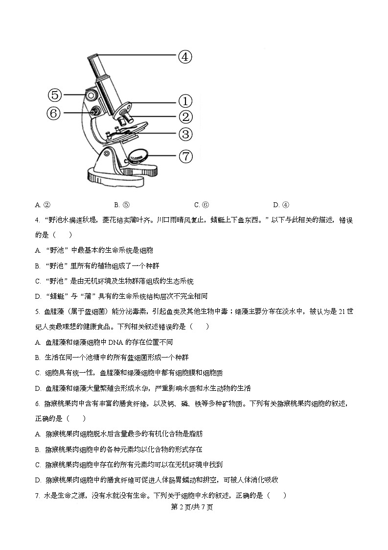 安徽省江淮名校2025-2026学年高一上学期阶段联考生物试题（原卷版）第2页