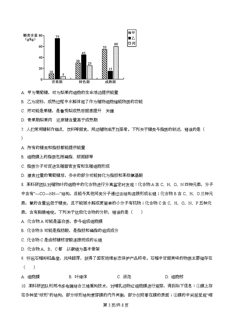 安徽省华师联盟2025-2026学年高一上学期期中检测生物试卷（原卷版）第3页