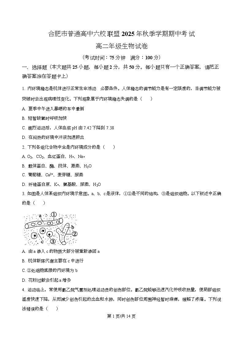 安徽省合肥市普通高中六校联盟2025-2026学年高二上学期期中考试生物试题（原卷版）第1页